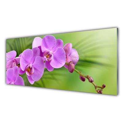 Glass Wall Art Flowers houses pink