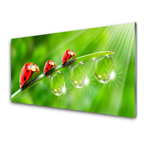 Glass Wall Art Grass ladybug drops of dew floral green black red