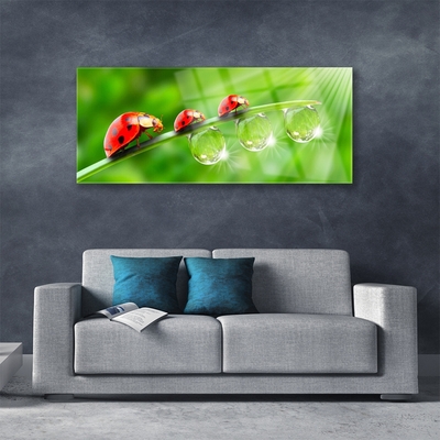 Glass Wall Art Grass ladybug drops of dew floral green black red