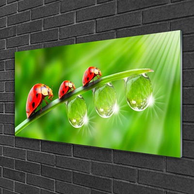 Glass Wall Art Grass ladybug drops of dew floral green black red