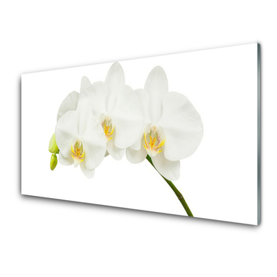 Glass Wall Art Flowers floral white