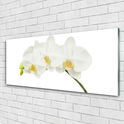 Glass Wall Art Flowers floral white