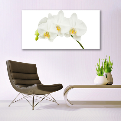 Glass Wall Art Flowers floral white