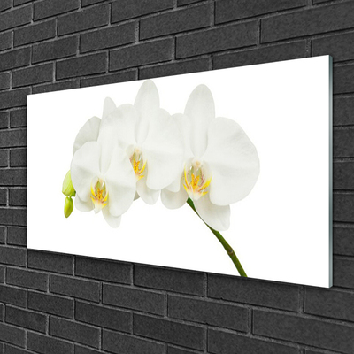 Glass Wall Art Flowers floral white