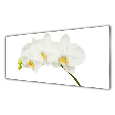 Glass Wall Art Flowers floral white