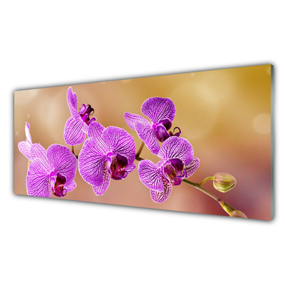 Glass Wall Art Flowers floral pink