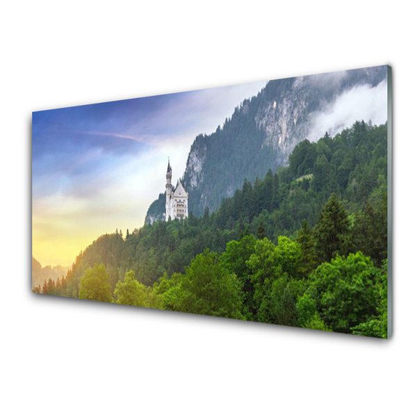 Glass Wall Art Forest mountains landscape green grey