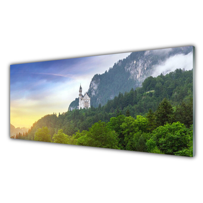 Glass Wall Art Forest mountains landscape green grey