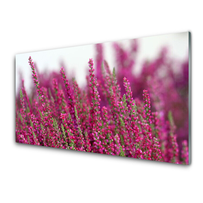 Glass Wall Art Flowers floral red green