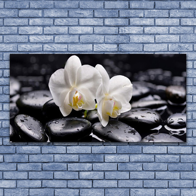 Glass Wall Art Flower stones art white black