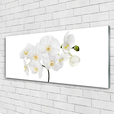 Glass Wall Art Flowers floral white