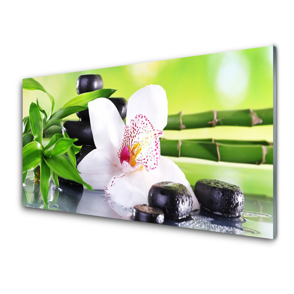 Glass Wall Art Bamboo stalks flower stones floral green white black