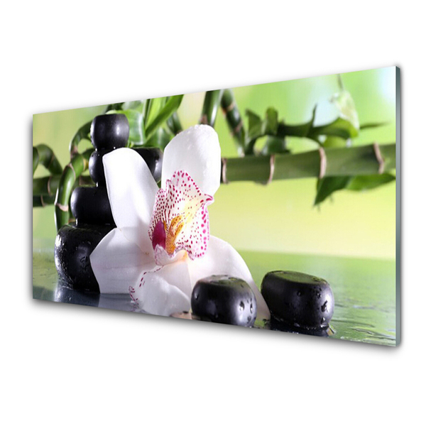 Glass Wall Art Bamboo cane flower stones floral green white black