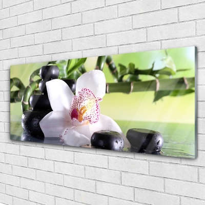 Glass Wall Art Bamboo cane flower stones floral green white black