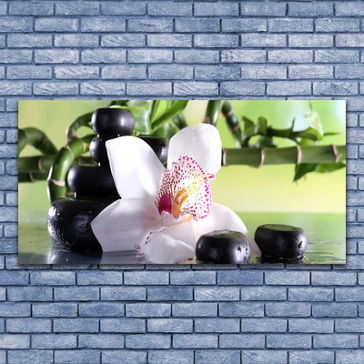 Glass Wall Art Bamboo cane flower stones floral green white black