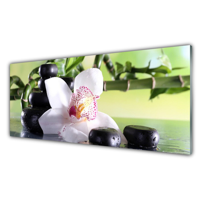 Glass Wall Art Bamboo cane flower stones floral green white black