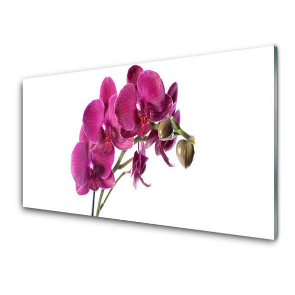 Glass Wall Art Flowers floral red