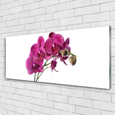 Glass Wall Art Flowers floral red