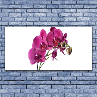 Glass Wall Art Flowers floral red