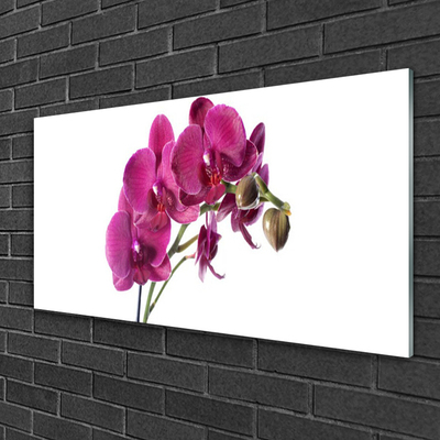 Glass Wall Art Flowers floral red