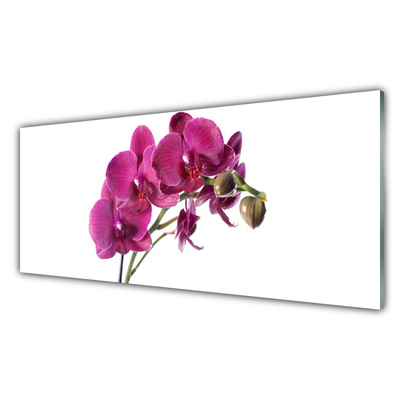 Glass Wall Art Flowers floral red