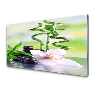 Glass Wall Art Bamboo stalks flower stones floral green white black