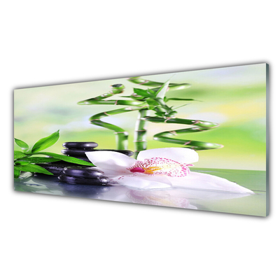 Glass Wall Art Bamboo stalks flower stones floral green white black