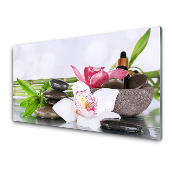 Glass Wall Art Bamboo stalks flower stones floral green white grey