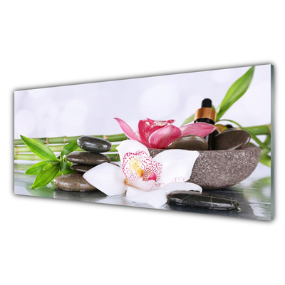 Glass Wall Art Bamboo stalks flower stones floral green white grey