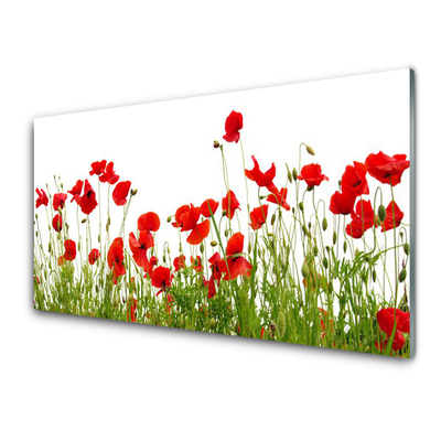 Glass Wall Art Meadow poppies nature green red