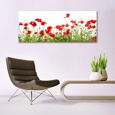 Glass Wall Art Meadow poppies nature green red