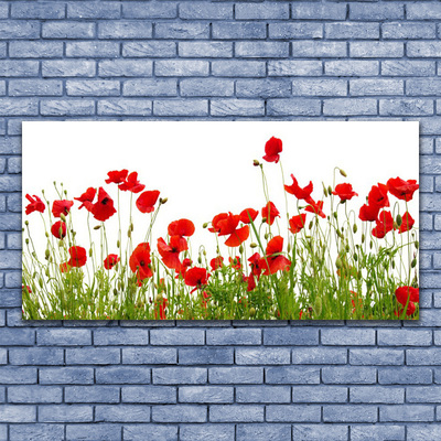 Glass Wall Art Meadow poppies nature green red
