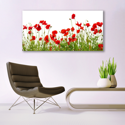 Glass Wall Art Meadow poppies nature green red