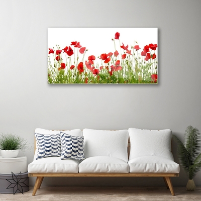 Glass Wall Art Meadow poppies nature green red