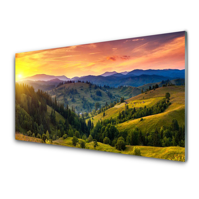 Glass Wall Art Sun mountain forest meadow nature yellow blue green