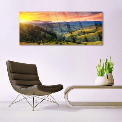 Glass Wall Art Sun mountain forest meadow nature yellow blue green