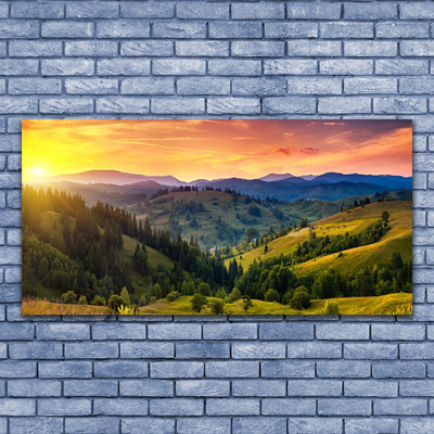 Glass Wall Art Sun mountain forest meadow nature yellow blue green