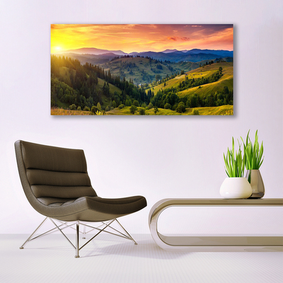 Glass Wall Art Sun mountain forest meadow nature yellow blue green