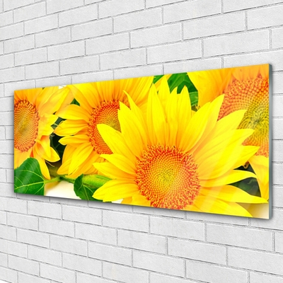 Glass Wall Art Sunflowers floral yellow