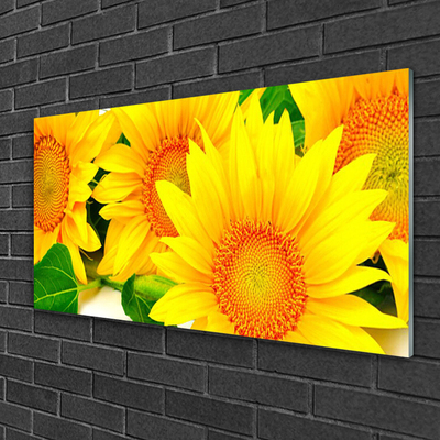 Glass Wall Art Sunflowers floral yellow