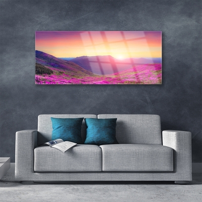 Glass Wall Art Sun mountain meadow nature yellow blue green pink