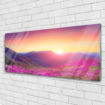 Glass Wall Art Sun mountain meadow nature yellow blue green pink