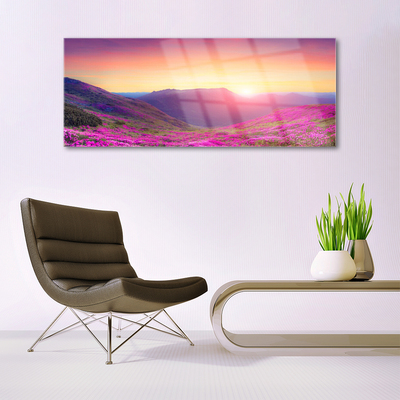 Glass Wall Art Sun mountain meadow nature yellow blue green pink