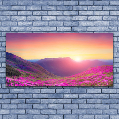 Glass Wall Art Sun mountain meadow nature yellow blue green pink