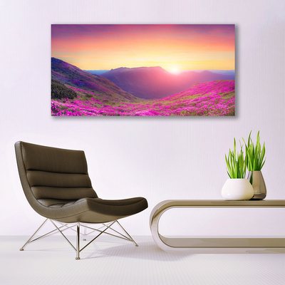 Glass Wall Art Sun mountain meadow nature yellow blue green pink