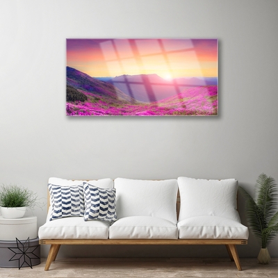 Glass Wall Art Sun mountain meadow nature yellow blue green pink