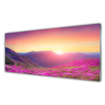 Glass Wall Art Sun mountain meadow nature yellow blue green pink