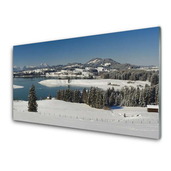 Glass Wall Art Snow lake forest landscape blue white green