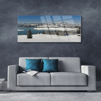 Glass Wall Art Snow lake forest landscape blue white green