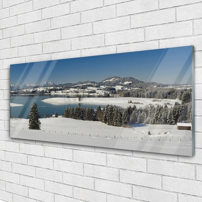 Glass Wall Art Snow lake forest landscape blue white green